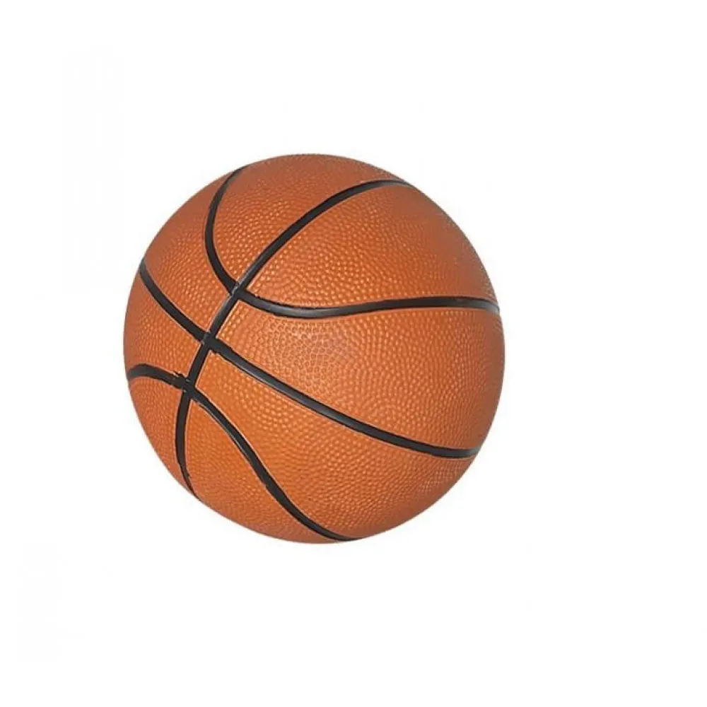 7″ Mini Basketball