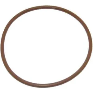 Blue Torrent Replacement Hayward Chlorinator Lid Viton O-Ring for CL200 CLX200K