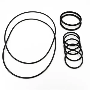 Caretaker 99 (Jandy In-Floor) 5-Port Valve O-Ring Kit 5-13-1