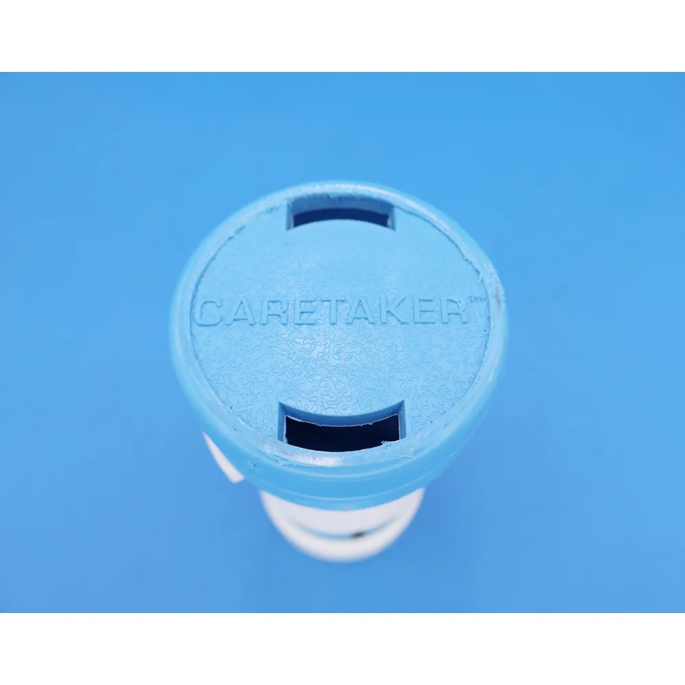 Caretaker (Jandy In-Floor) Bayonet Style Cleaning Head Carolina Blue 3-9-570