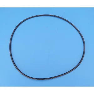 Caretaker (Jandy Zodiac) O-Ring (Single Large O-Ring Only) 1-13-1