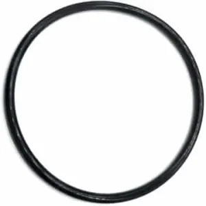 CX900F O-Ring for Hayward Star-Clear Plus Cartridge Filter Series & Separation Tank