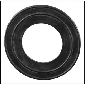 Gasket for Pentair Aqualuminator Pool Light (2 Required) (#79116800)