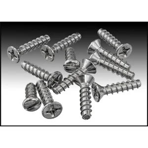 Hayward 10 Hole Self-Tapping Face Plate Screw Set (Set Of 12) (#SPX1090Z1A)
