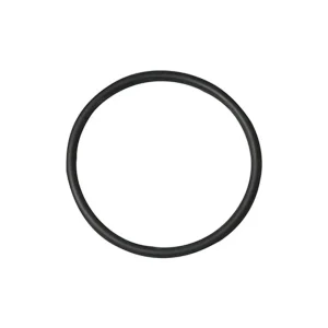 Hayward #AX5010G19 In-Line Filter O-Ring for Viper/Phantom