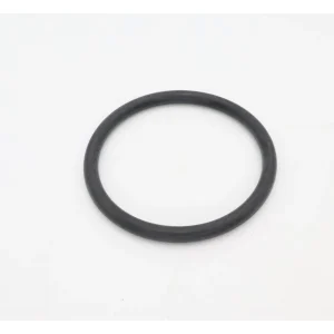 Hayward EcoStar/TriStar Diffuser O-Ring SPX4000Z1
