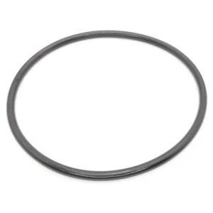 Hayward EcoStar/TriStar Strainer Cover O-Ring SPX3200S