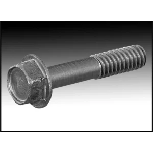 HAYWARD ECX10271 SCREW FOR FILTER HEAD
