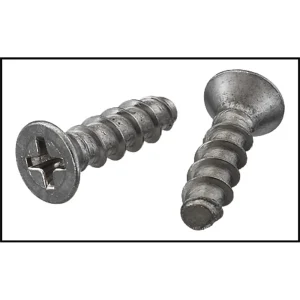 Hayward Grate Securing Screw Set (Set Of 2) (#SPX1425Z32)