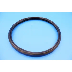Hayward Lens Gasket for Duralite/Astrolite Lights SPX0580Z2
