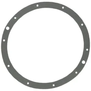 Hayward Niche Gasket for Underwater Light