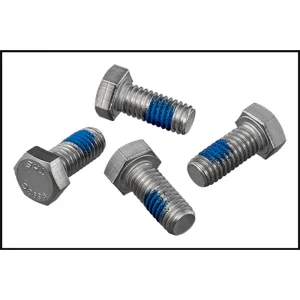 Hayward Northstar Pump Motor Cap Bolt (Bag Of 4) (#SPX0125Z44)
