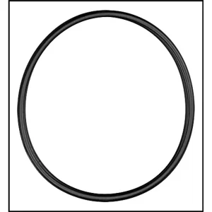 Hayward Pool Light Special Hi-Temp Lens Gasket (#SPX0503W)