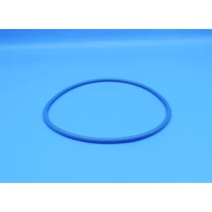 Hayward Pro Series & Pro Series Plus Valve O-Ring GMX600F