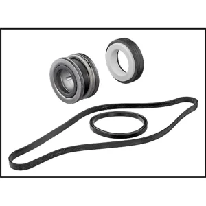Hayward Seal Assembly Kit (Includes Seal, Housing & Diffuser Gasket) (#SPX1600TRA)