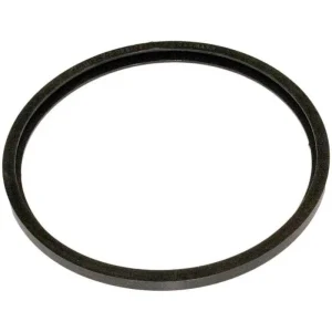 Hayward StarLite Special Hi-Temp Lens Gasket
