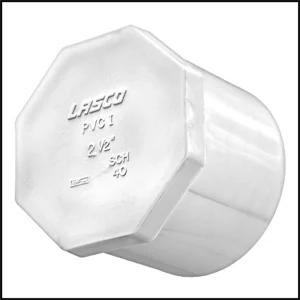 Lasco 2 1/2″ Slip Plug (#449-025)