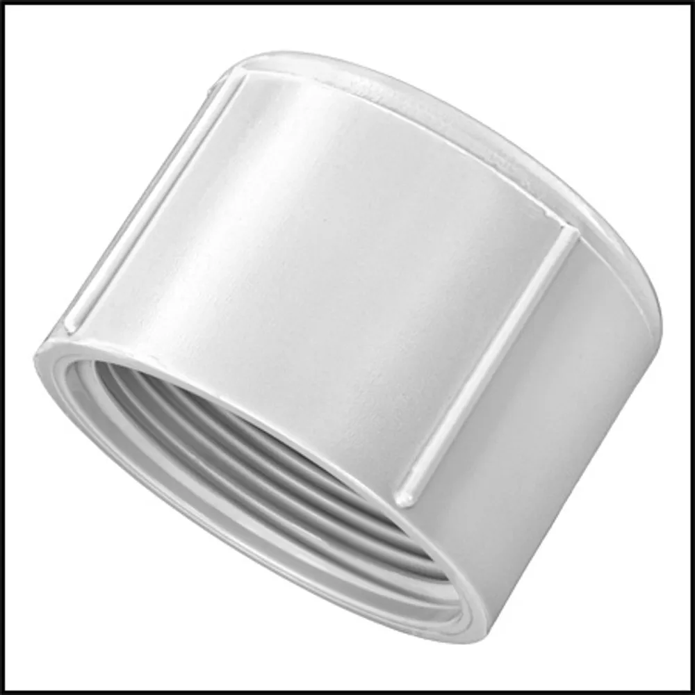 Lasco 2 1/2″ Threaded Cap FPT (#448-025)
