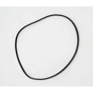 Paramount Water Valve Base O-Ring 005-302-0100-00