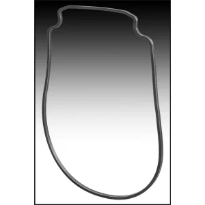 PENTAIR 357100 GASKET SEAL PLATE WFE PUMP (AFTER 02/01/08)OEM