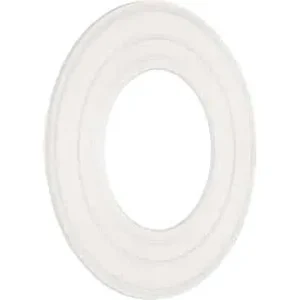 Pentair 79116800 AquaLuminator Light Replacement Gasket Pool and Spa Light