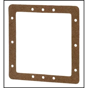 Pentair/American FAS-100 Skimmer Front Face Plate Gasket (#85003400)