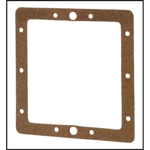 Pentair/American FAS-100 Skimmer Rear Face Plate Gasket (#85003300)