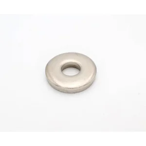 Pentair Clean and Clear Plus Large Tank Clamp Washer 53006300Z