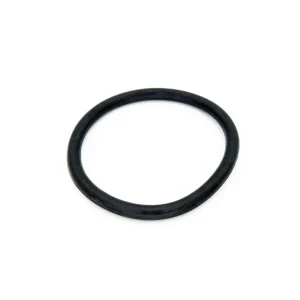 Pentair Clean & Clear Plus Bulkhead O-Rings 86006900Z