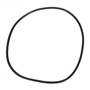 Pentair Clean & Clear Plus Filter Tank O-Ring 39010200