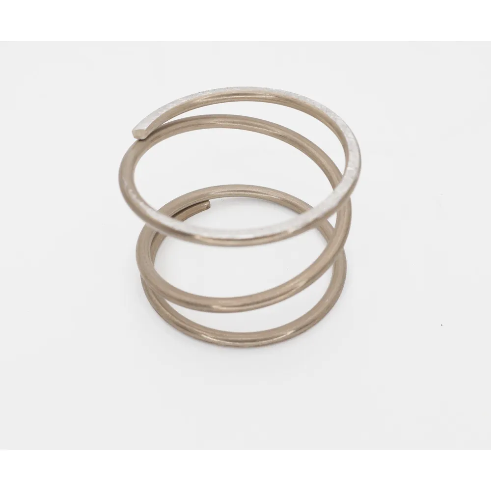 Pentair Clean & Clear Quad Filter Compression Spring 178616
