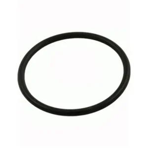Pentair Dominator Pump Seal Plate O-Ring V26-354S