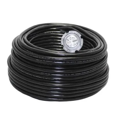Pentair Globrite Led Color Pool Light 602055 12V 100′ Cord