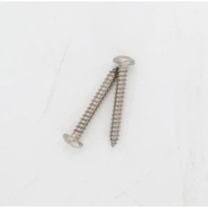 Pentair Legend Cover to Frame Screw 2-Pack EU80