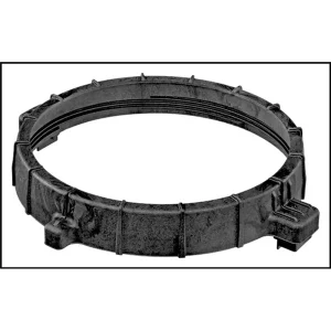 Pentair Lock Ring Assembly For Clean And Clear/Predator Filter (#59052900)