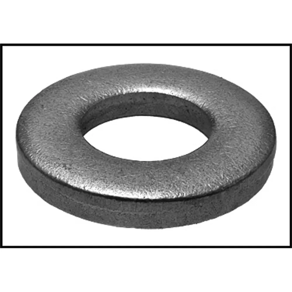 Pentair/Pac Fab Large Washer for FNS Clamp Filters 195611