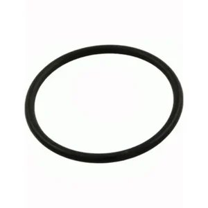 Pentair/Pac-Fab Pinnacle & Challenger Pump Lid O-Ring V36-191 350013