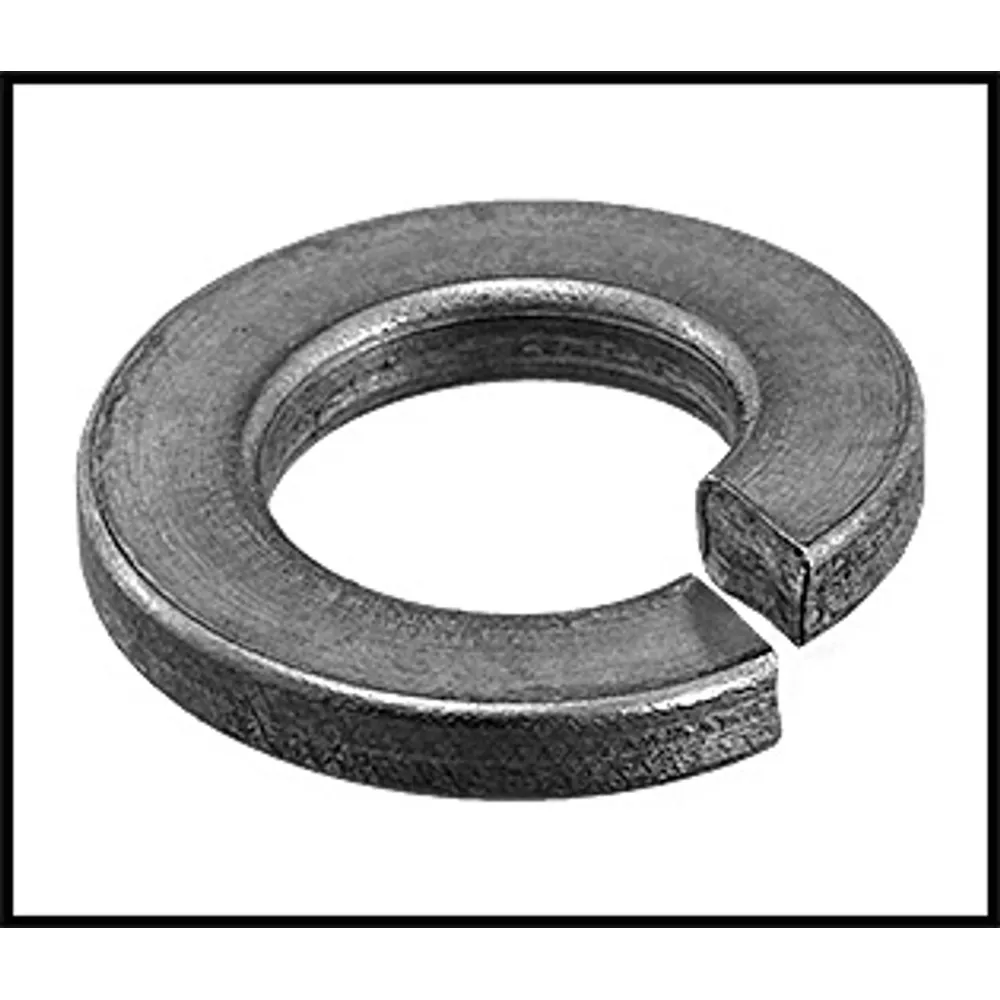 Pentair/PacFab 5/16″ Stainles Steel Lock Washer (#174955)