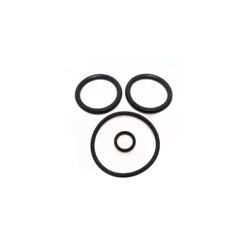 Pentair PacFab Piston ORing Set 2 Inch Plastic V36186S