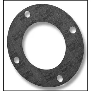 Pentair/Purex C Series Pump Flange Gasket (#70943)