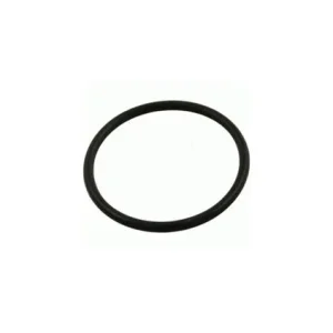 Pentair/Purex Whisperflo Pump Lid O-Ring N/S V20-389S