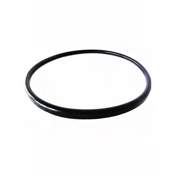 Pentair Quantum Manifold Gasket – CM, RPM & S.S. V38-221 57000300