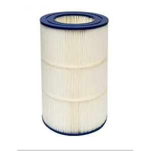 Pentair R173214 75 SqFt Clean and Clear® Replacement Cartridge Element