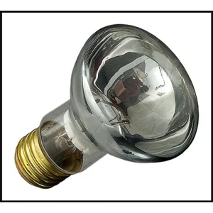 Pentair SpaBrite/AquaBrite 100W 12V Medium Bass Flood Light Bulb (#79108100)