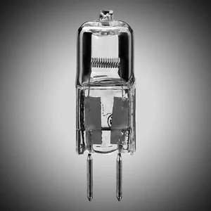 Pentair/Sta-Rite 12V 100W 2 Prong Halogen Light Bulb #34600-0017 (#79131200)