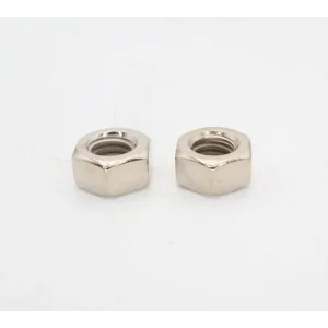 Pentair Stainless Steel Nut 2-Pack 5/16″ for Booster Pump LA125