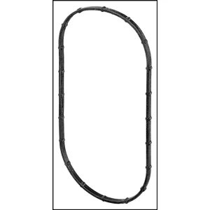 Pentair SunSaver Pool Light Lens Gasket 8782 (#05101-0002)