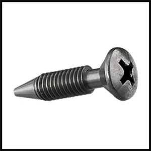 Pentair/Swimquip #5058-25 Retaining Light Screw Assembly (#37337-0079)