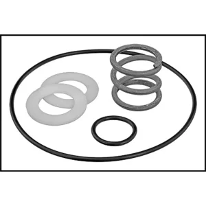 Pentair/Swimquip Valve Spring & Washer Kit (#14962-0035)