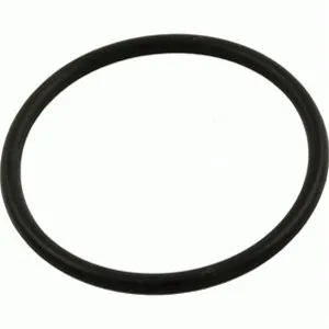 Pentair Ultra-Flow Pump Lid 0-Ring, Americana 1 & 2 (pre-94) V38-161S 39300300